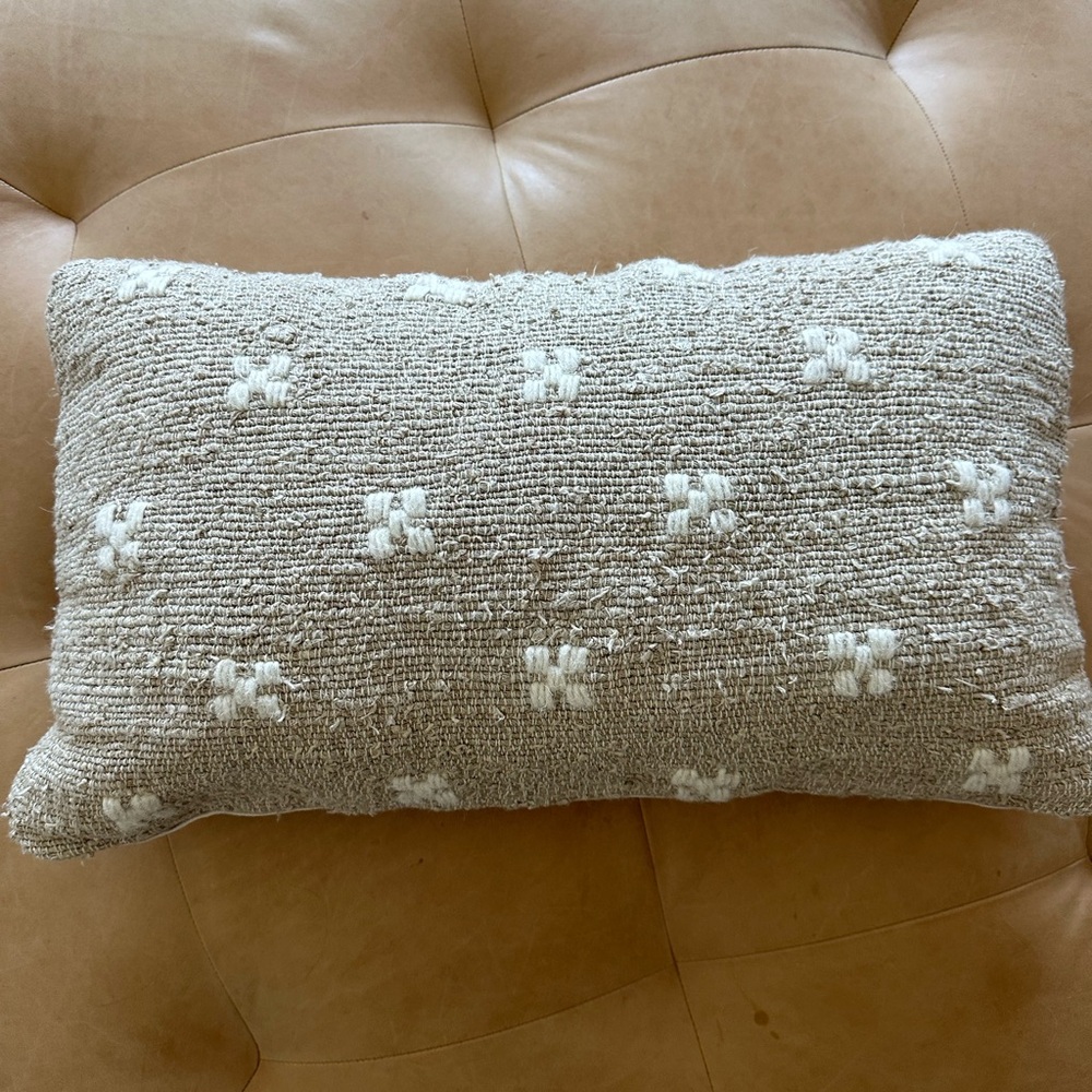 Chic throw pillow from West Elm. Recently purchased.